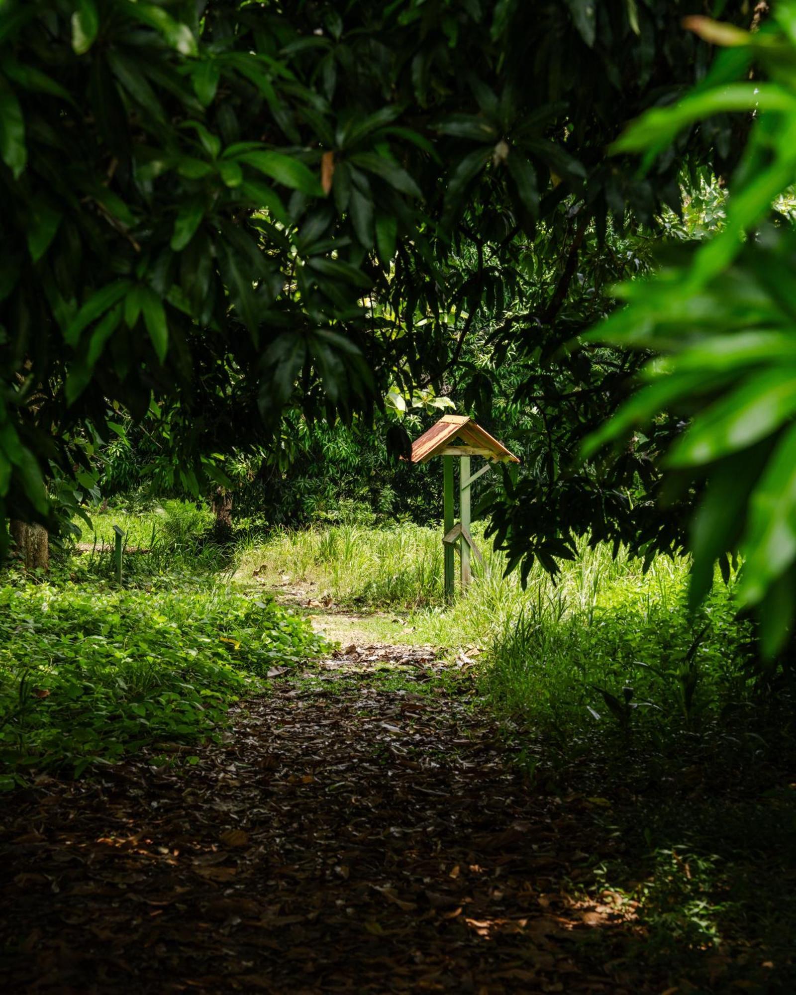Hacienda Baru Villa Dominical Eksteriør bilde