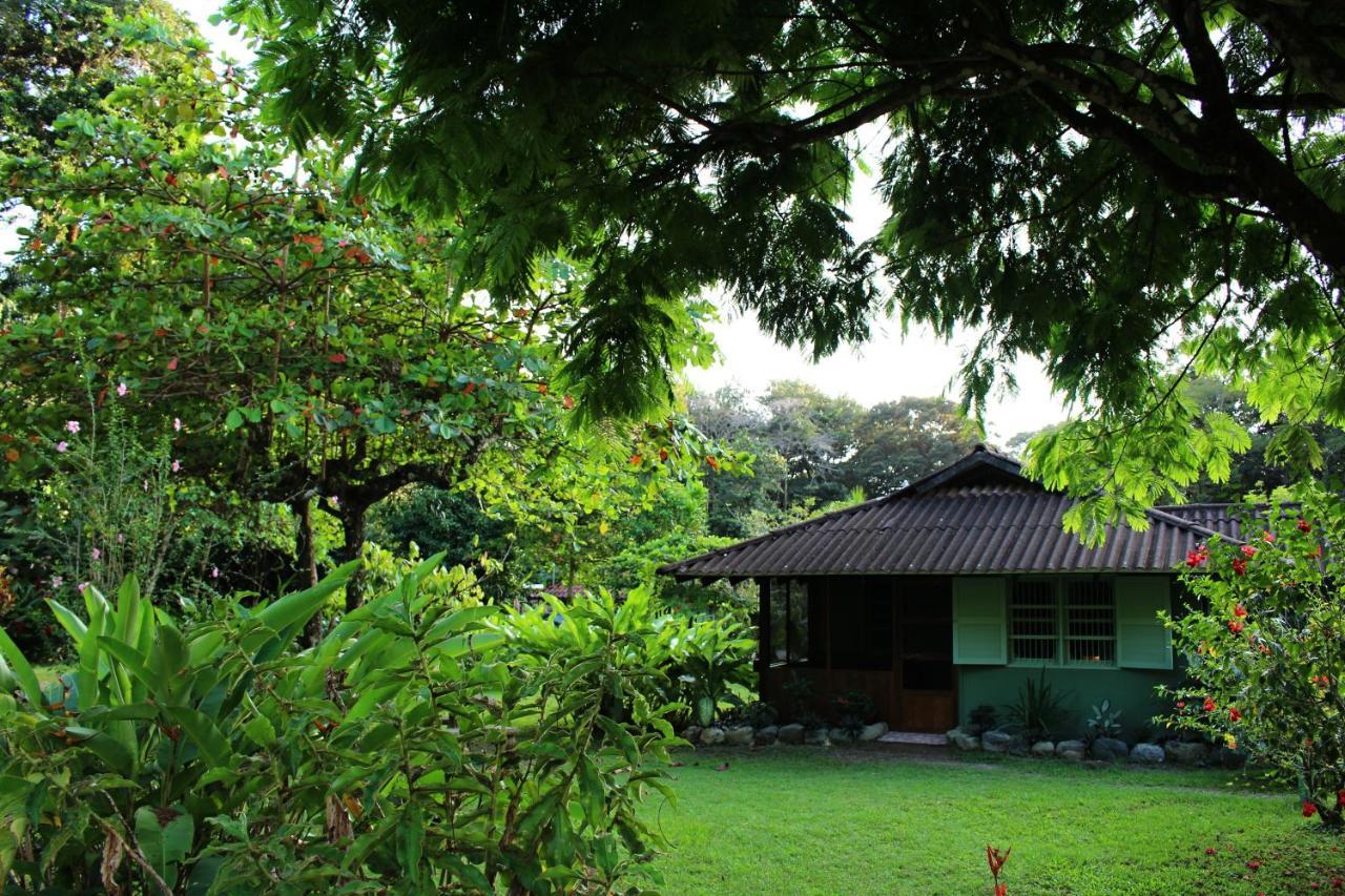 Hacienda Baru Villa Dominical Eksteriør bilde